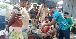 রাজশাহীতে পাল্লা দিয়ে বাড়ছে মাছের দাম